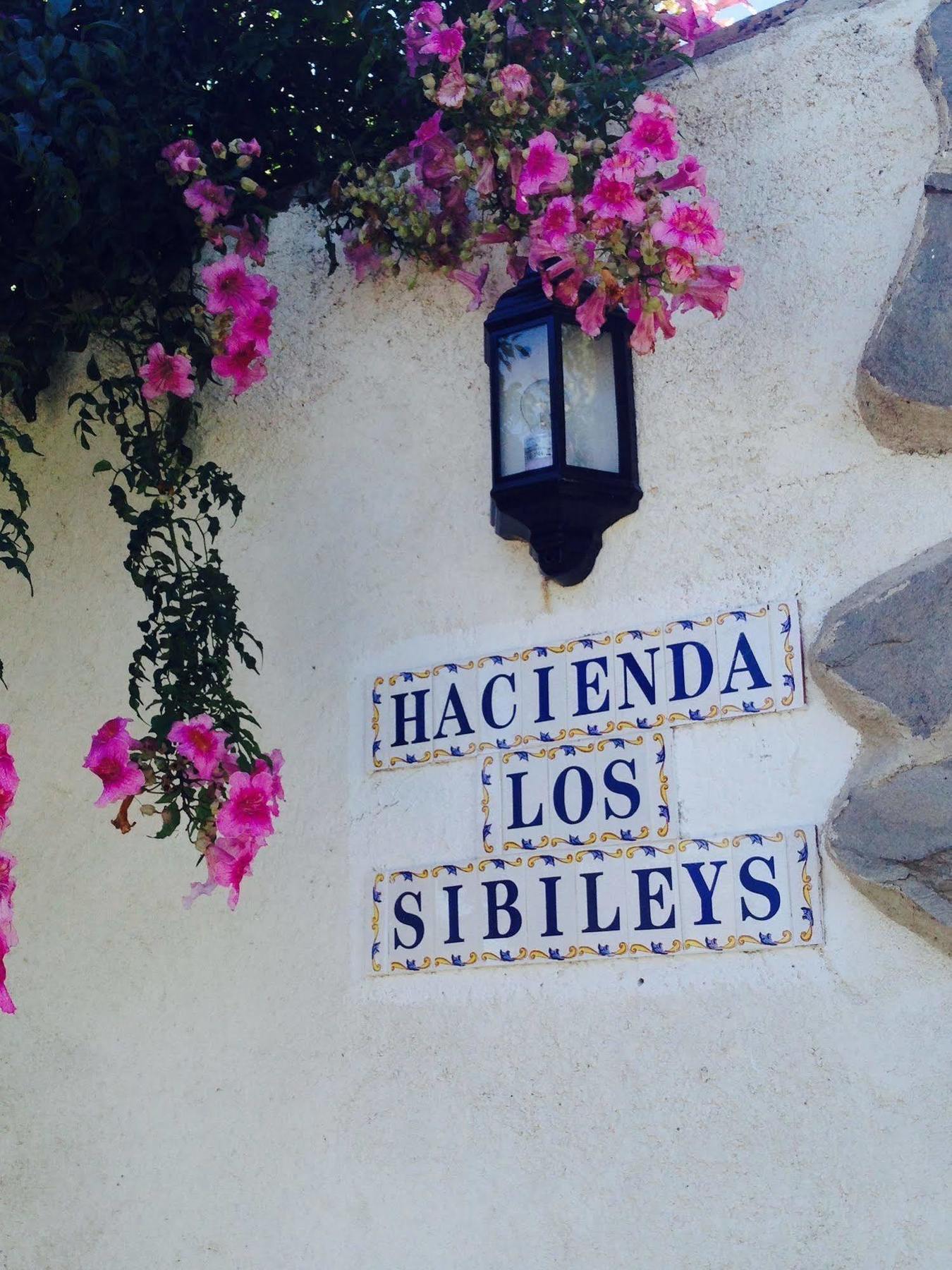 Hotel Los Sibileys Henares Kültér fotó